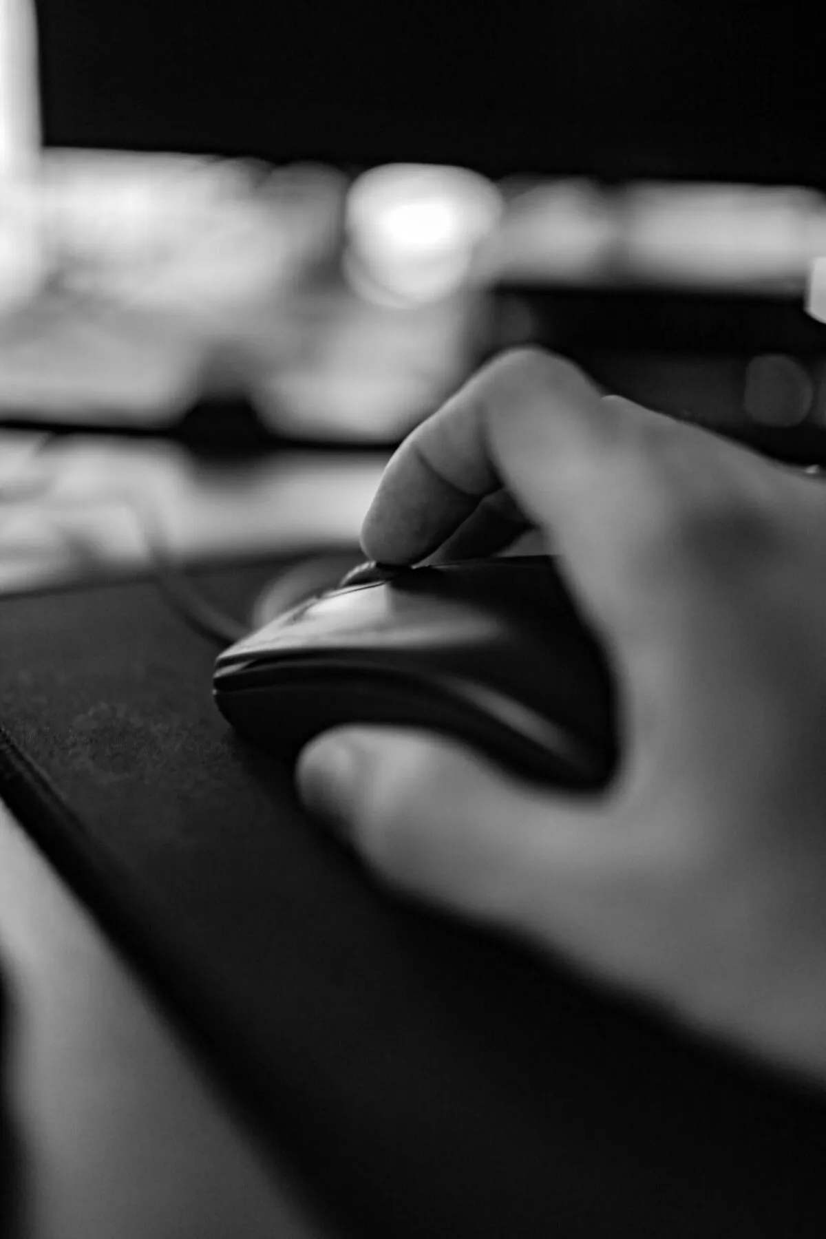 WordPress Entwicklung